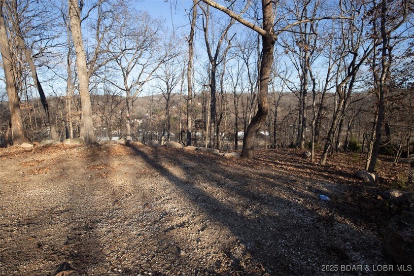 A great lot with a lake view on a cul-de-sac and all of the - photo 5