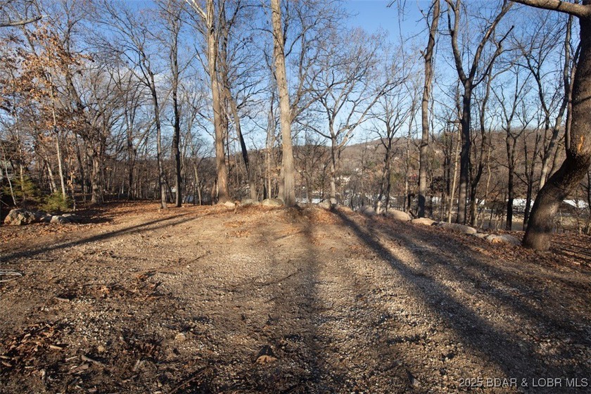 A great lot with a lake view on a cul-de-sac and all of the - photo 6