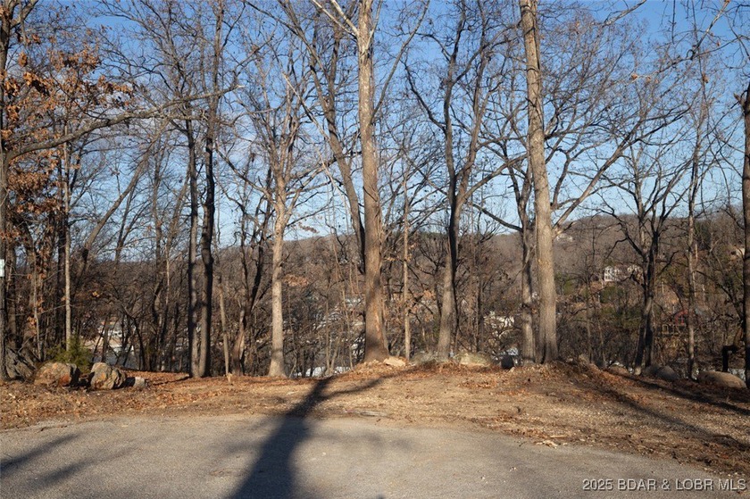 A great lot with a lake view on a cul-de-sac and all of the - photo 9