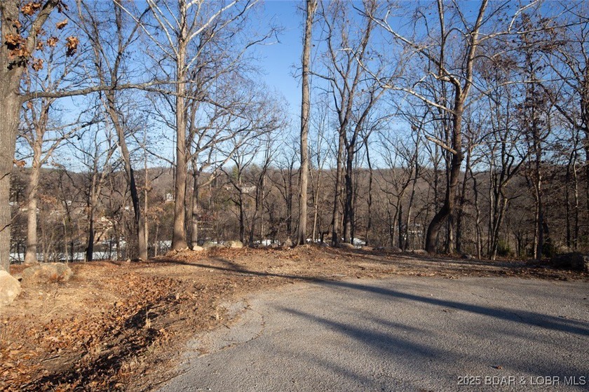 A great lot with a lake view on a cul-de-sac and all of the - photo 10