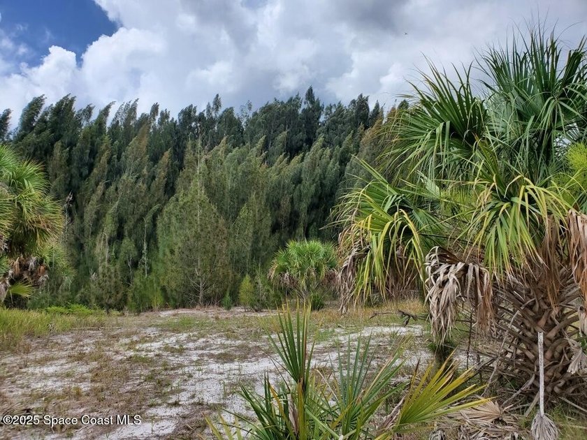 Build your dream home in a quiet and serene area of Palm Bay - photo 2