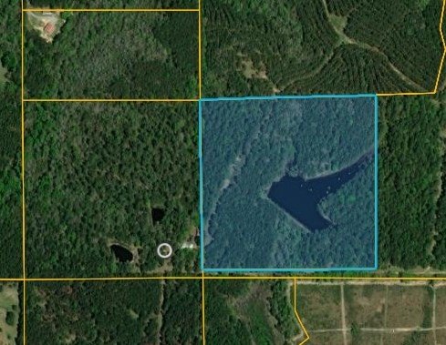 Beautiful land for sale in Poplarville, Ms. 30 acres mostly - photo 2