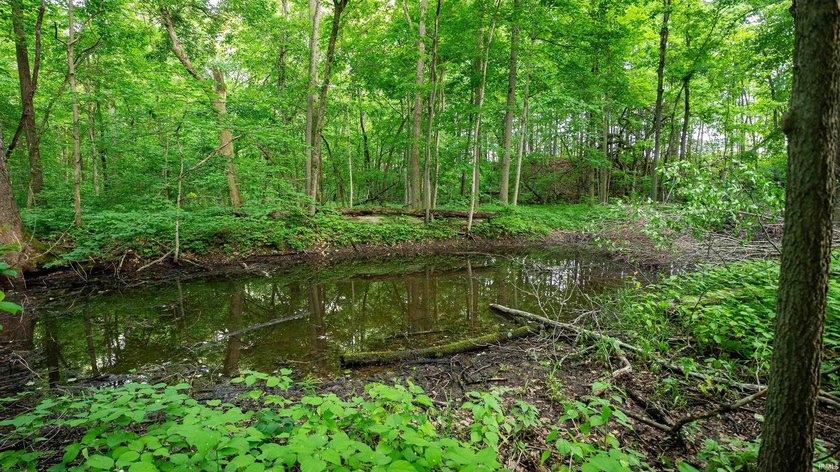 This exceptional Boone County property features a custom-built - photo 45