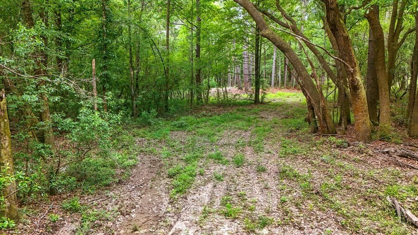 HIDDEN GEM right here in Pearl River County. This piece of - photo 3