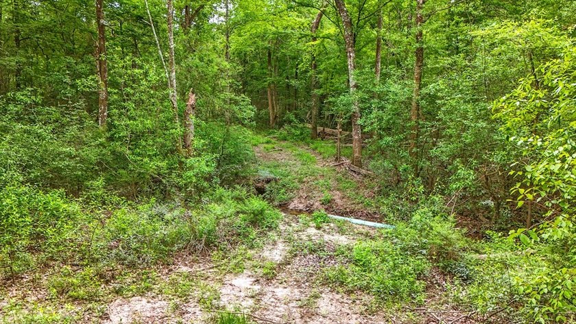 HIDDEN GEM right here in Pearl River County. This piece of - photo 4