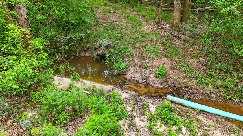 HIDDEN GEM right here in Pearl River County. This piece of - photo 5