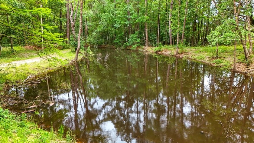 HIDDEN GEM right here in Pearl River County. This piece of - photo 6