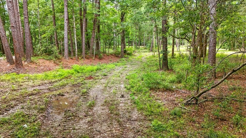 HIDDEN GEM right here in Pearl River County. This piece of - photo 7