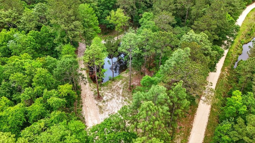 HIDDEN GEM right here in Pearl River County. This piece of - photo 9
