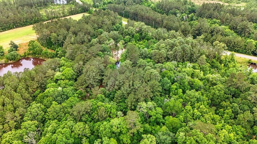 HIDDEN GEM right here in Pearl River County. This piece of - photo 10