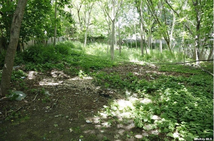 Heart of Southampton Village! You can renovate this property and - photo 6