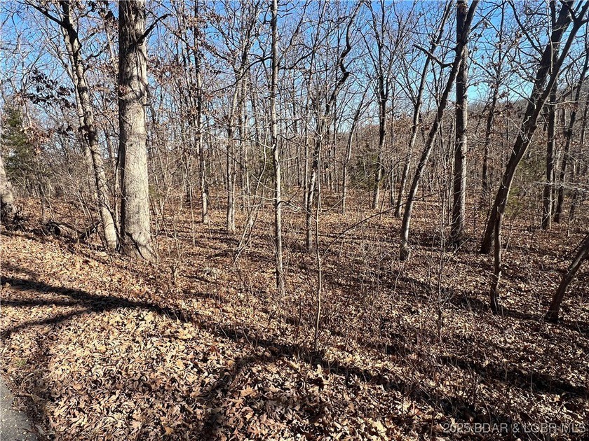 This 6.3 acre lot located on Thong Tree Rd in Camdenton, MO - photo 2