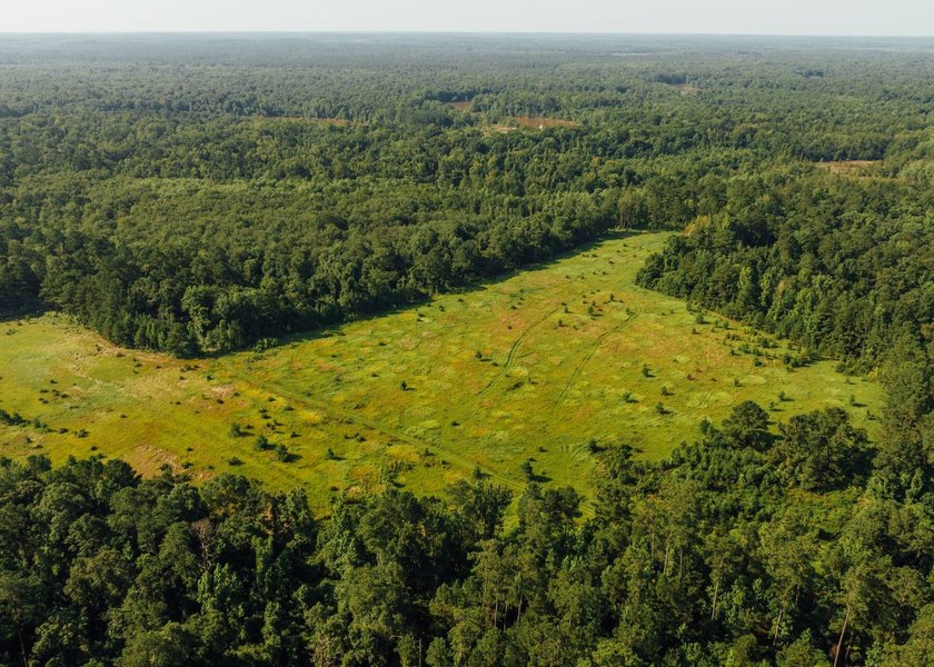 This 629+/- acre legacy tract in Greene County is a rare - photo 13