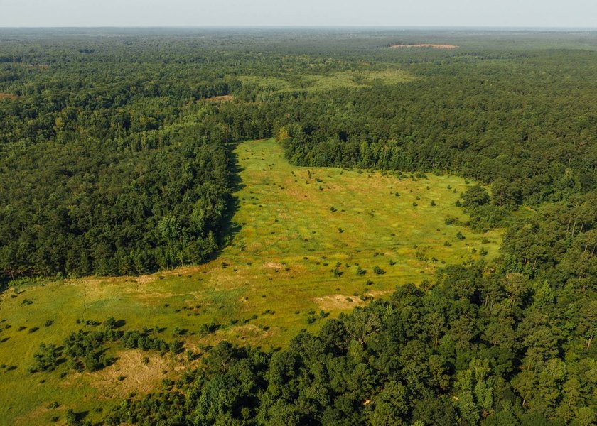 This 629+/- acre legacy tract in Greene County is a rare - photo 14