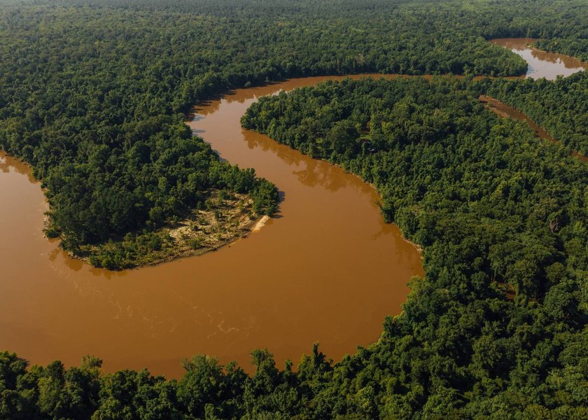 This 629+/- acre legacy tract in Greene County is a rare - photo 20