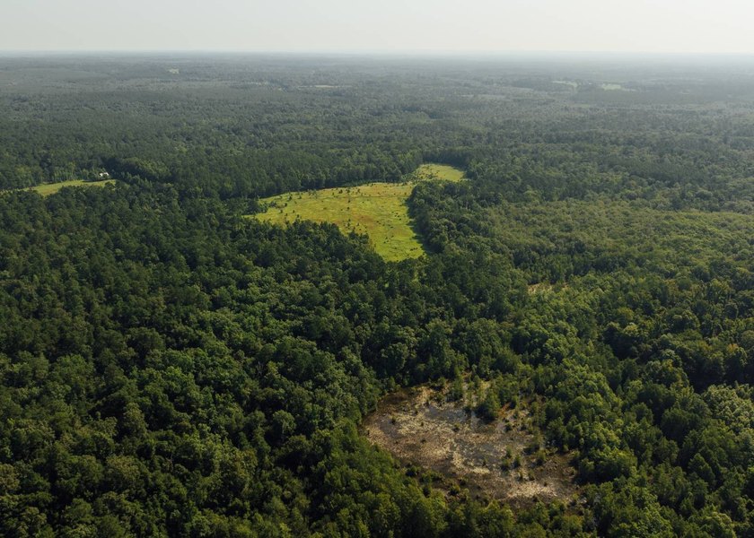 This 629+/- acre legacy tract in Greene County is a rare - photo 22