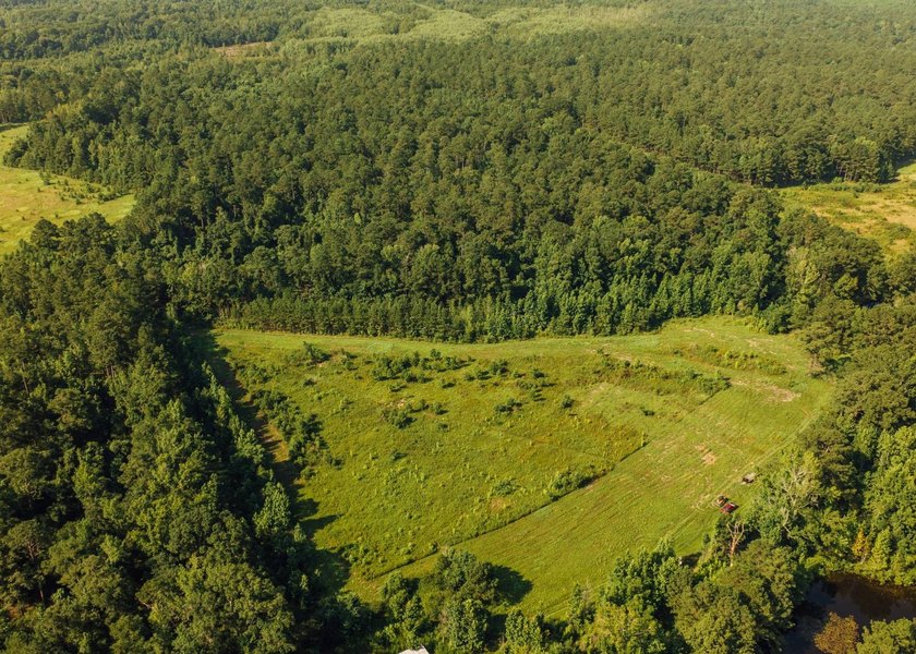 This 629+/- acre legacy tract in Greene County is a rare - photo 24