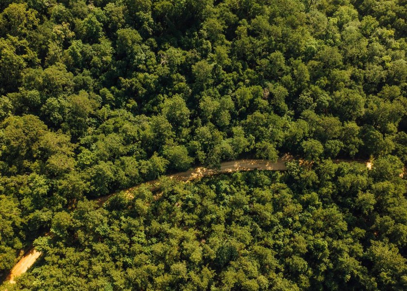 This 629+/- acre legacy tract in Greene County is a rare - photo 25