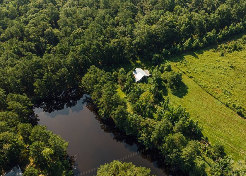 This 629+/- acre legacy tract in Greene County is a rare - photo 27