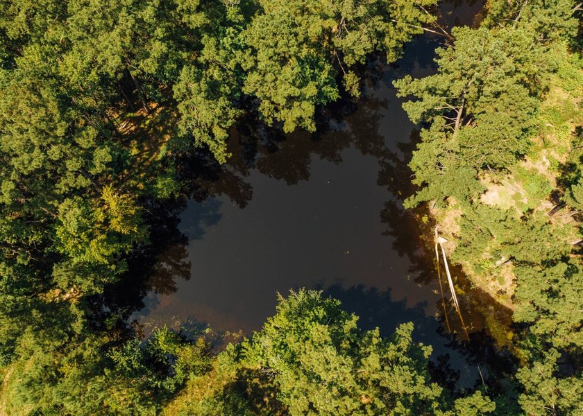 This 629+/- acre legacy tract in Greene County is a rare - photo 31