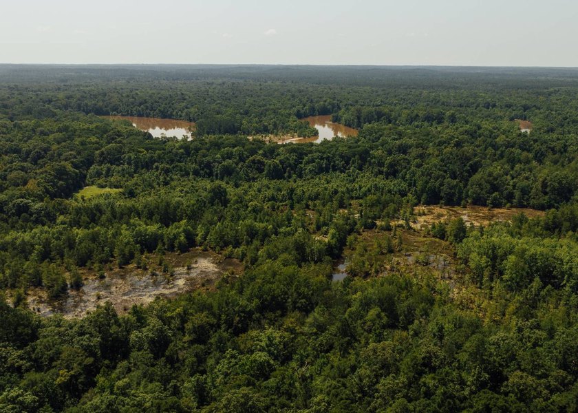 This 629+/- acre legacy tract in Greene County is a rare - photo 32