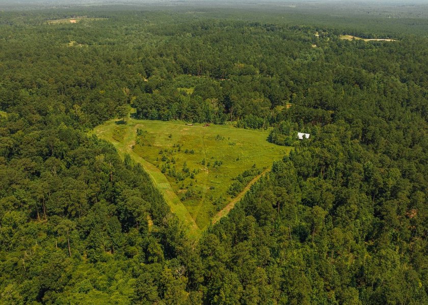 This 629+/- acre legacy tract in Greene County is a rare - photo 36