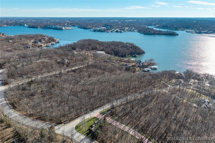 Surrounded by mature trees and natural Ozarks beauty, this - photo 3