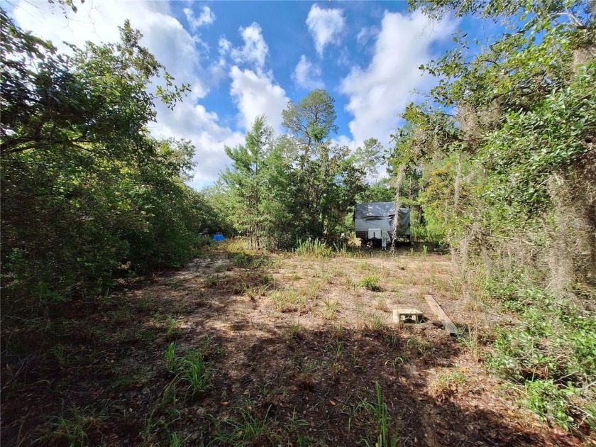 Includes access to Lake Kerr. 4 adjoining lots for a total of - photo 3