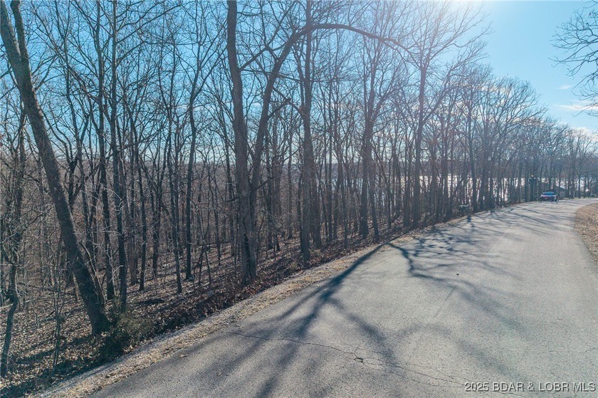 Surrounded by mature trees and natural Ozarks beauty, this - photo 4
