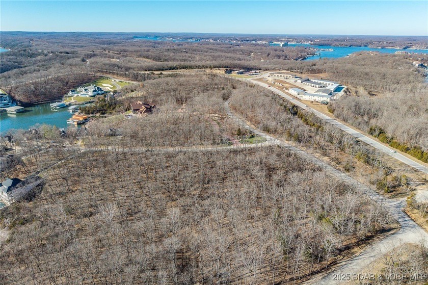 Surrounded by mature trees and natural Ozarks beauty, this - photo 6