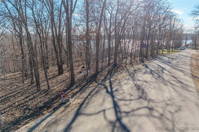 Enjoy the charm of ever-changing lake scenery with this Seasonal - photo 8