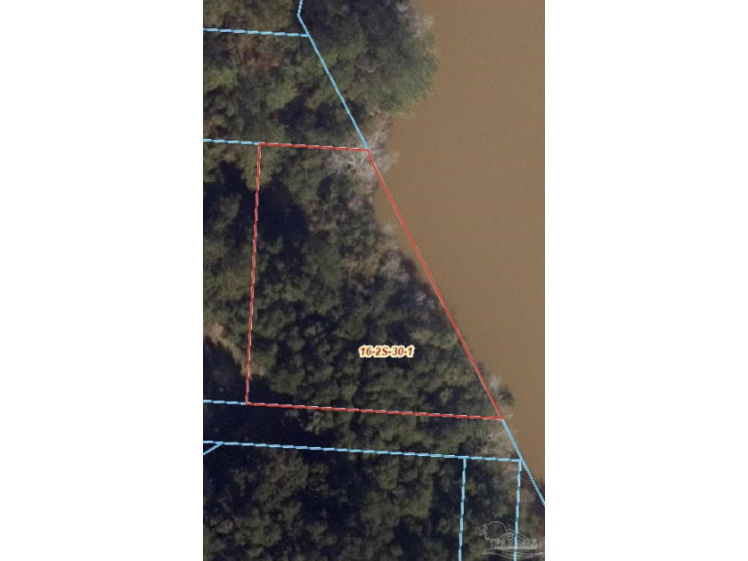 Rare opportunity to acquire a 42+ acre land package along with 3 - photo 3