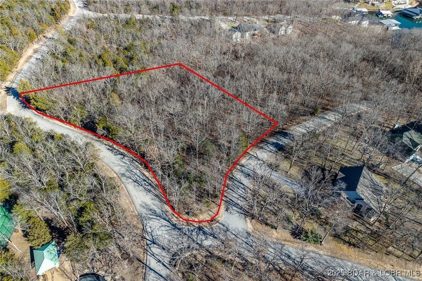 Surrounded by mature trees and natural Ozarks beauty, this - photo 5