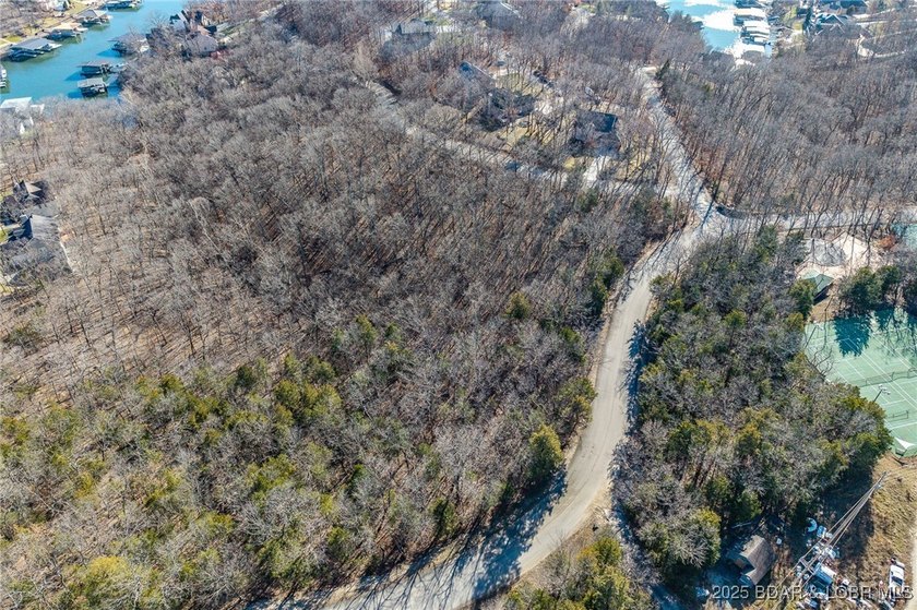 Surrounded by mature trees and natural Ozarks beauty, this - photo 7
