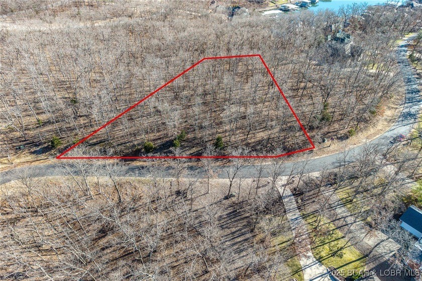 This Lakeview lot at The Villages at Shawnee Bend offers scenic - photo 3