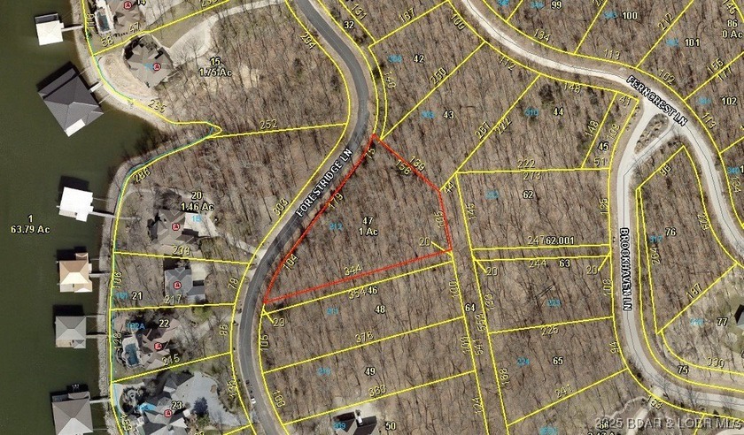This Lakeview lot at The Villages at Shawnee Bend offers scenic - photo 7