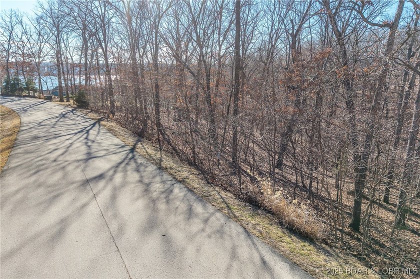 This Lakeview lot at The Villages at Shawnee Bend offers scenic - photo 10