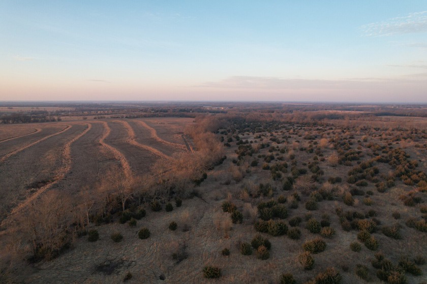 This is sneaky thick hunting property loaded with great habitat - photo 11