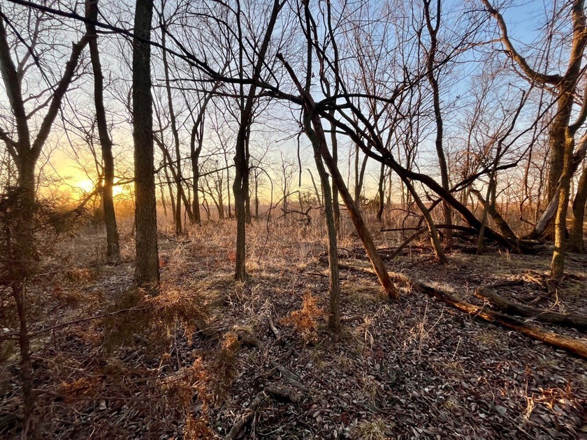 This is sneaky thick hunting property loaded with great habitat - photo 12