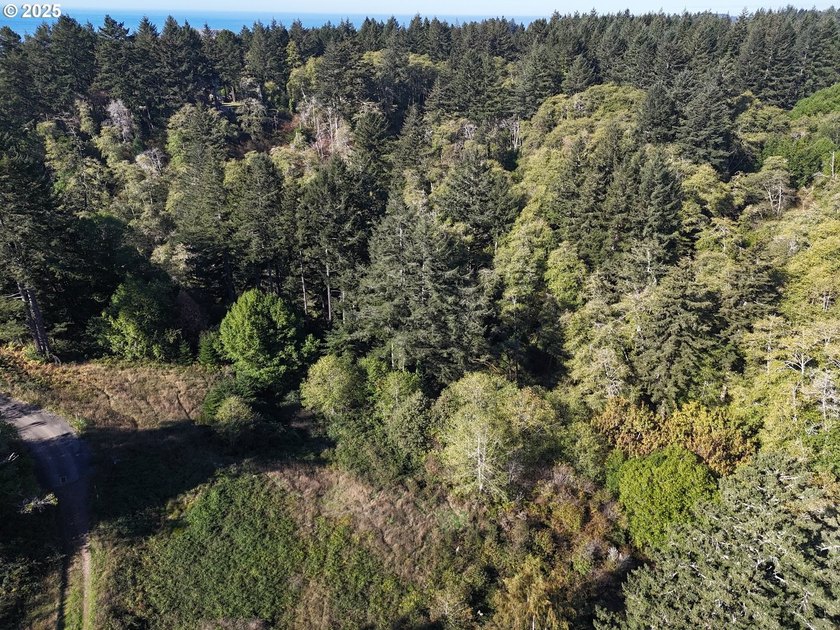 Build your dream home on this beautiful 1.83-acre parcel located - photo 12