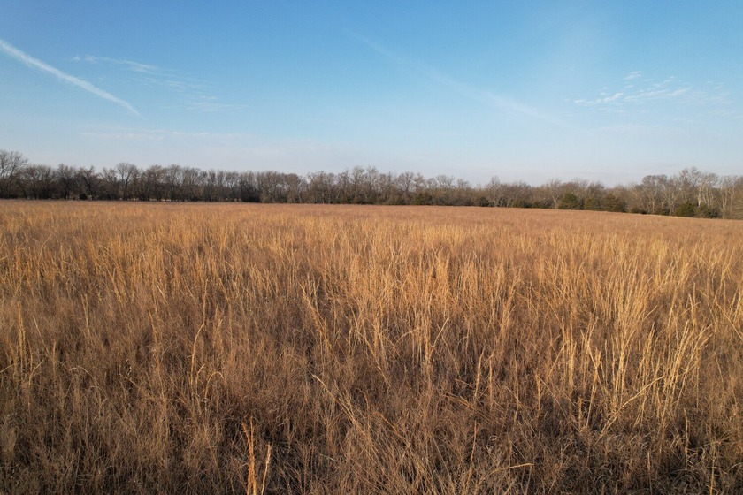 This is sneaky thick hunting property loaded with great habitat - photo 14