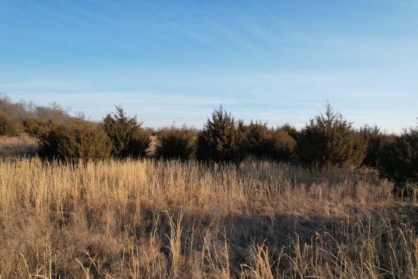 This is sneaky thick hunting property loaded with great habitat - photo 16