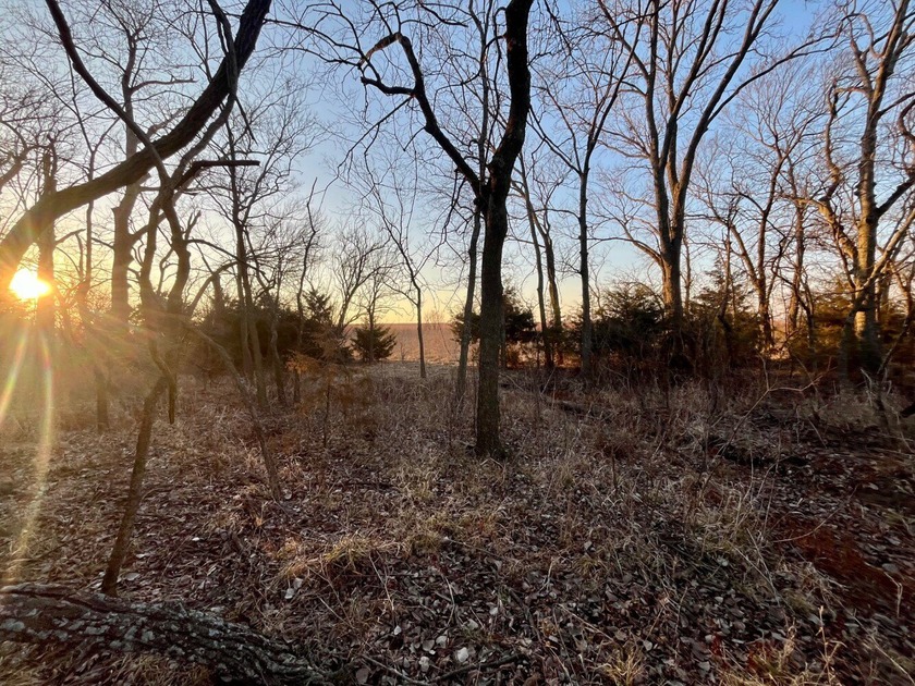 This is sneaky thick hunting property loaded with great habitat - photo 17