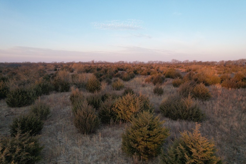 This is sneaky thick hunting property loaded with great habitat - photo 18