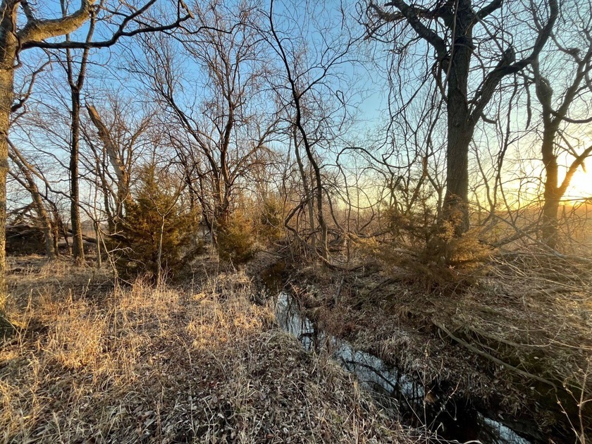 This is sneaky thick hunting property loaded with great habitat - photo 19
