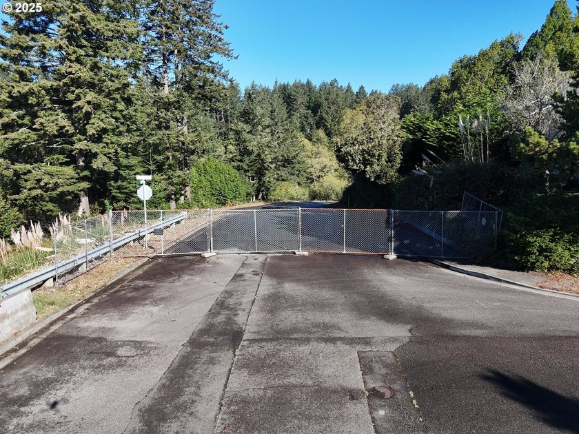Build your dream home on this beautiful 1.83-acre parcel located - photo 19