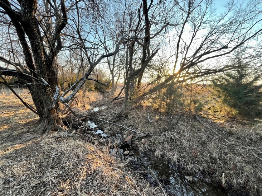This is sneaky thick hunting property loaded with great habitat - photo 22