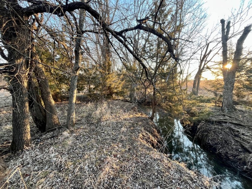 This is sneaky thick hunting property loaded with great habitat - photo 23
