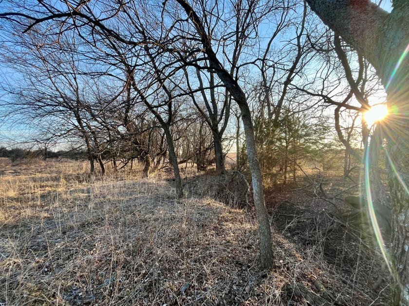 This is sneaky thick hunting property loaded with great habitat - photo 26