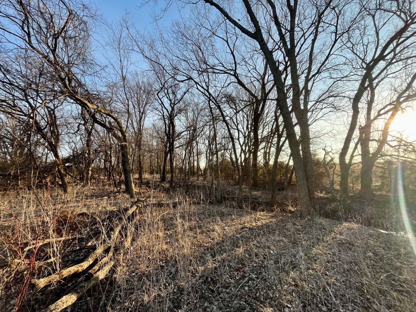 This is sneaky thick hunting property loaded with great habitat - photo 27
